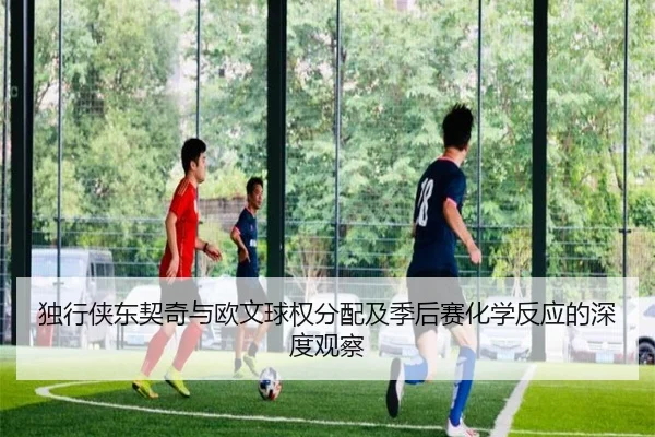 独行侠东契奇与欧文球权分配及季后赛化学反应的深度观察