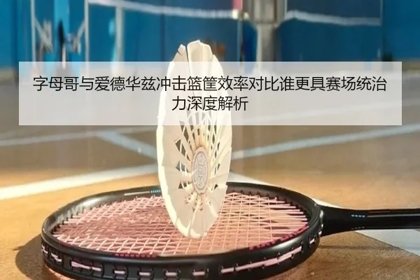字母哥与爱德华兹冲击篮筐效率对比谁更具赛场统治力深度解析