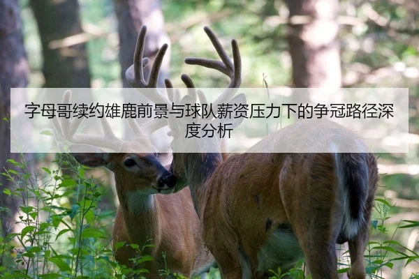 字母哥续约雄鹿前景与球队薪资压力下的争冠路径深度分析